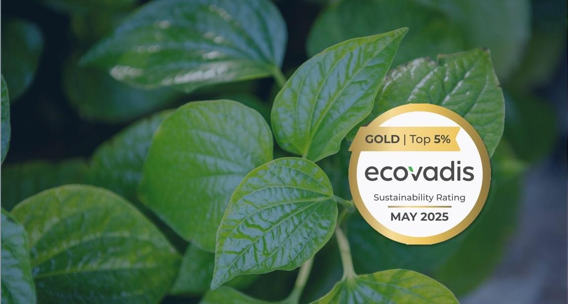EcoVadis : Electrolux Professional Group décroche l&rsquo;or