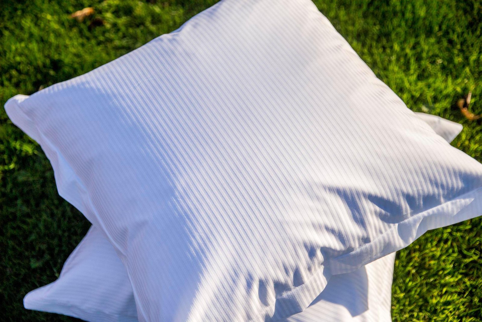 Dibella renforce sa présence en France grâce à un partenariat stratégique avec Deren